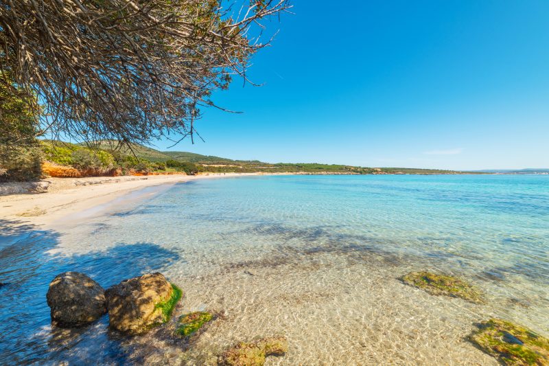 Una Finestra Sul Mare Capocaccia