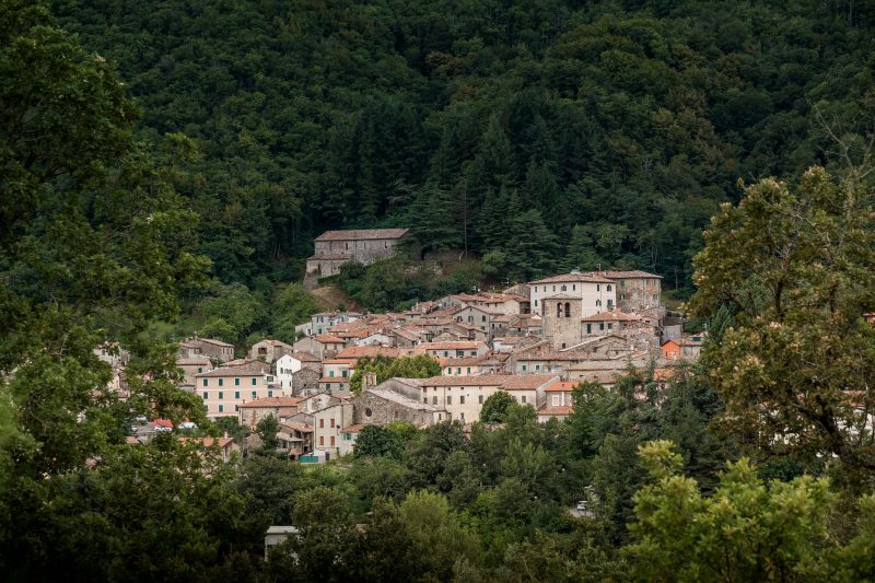 Podere del Ciacchi Among Tuscany Greenery