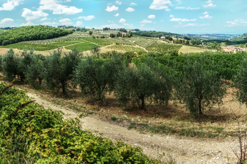 Chianti Wine Site Apt Private Balcony