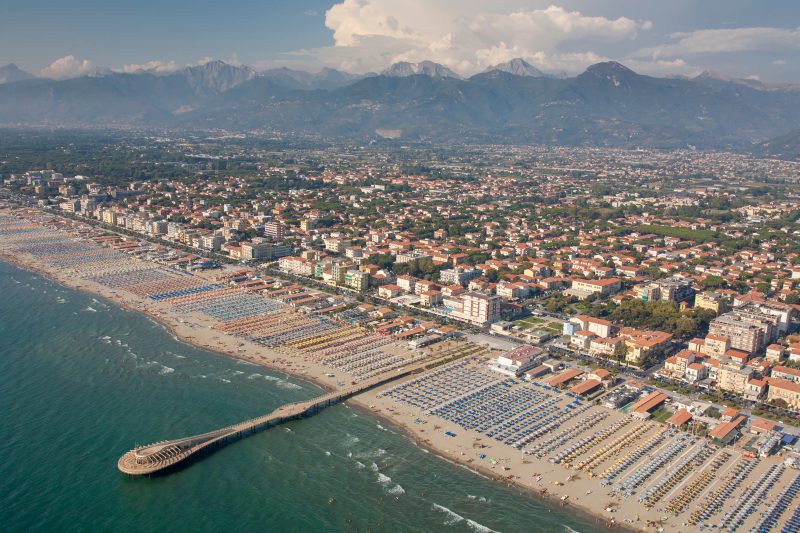 Alloro Grillo