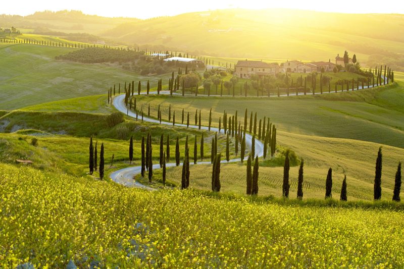 Tuscan Home Rignano Private Garden