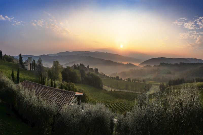 Chianti Classico Home Panoramic View 8