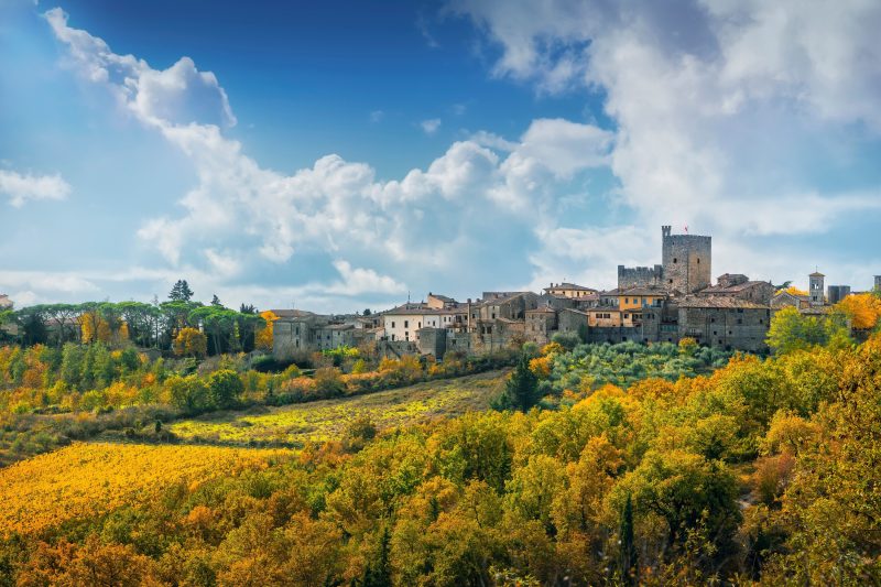 Chianti Classico Home Panoramic View 6