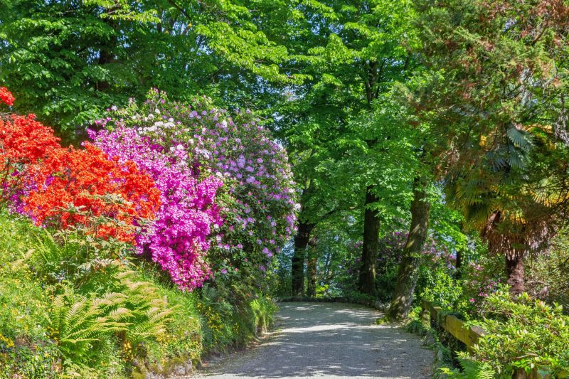 Villa Tagini: Restored 1888 Villa with Private Garden