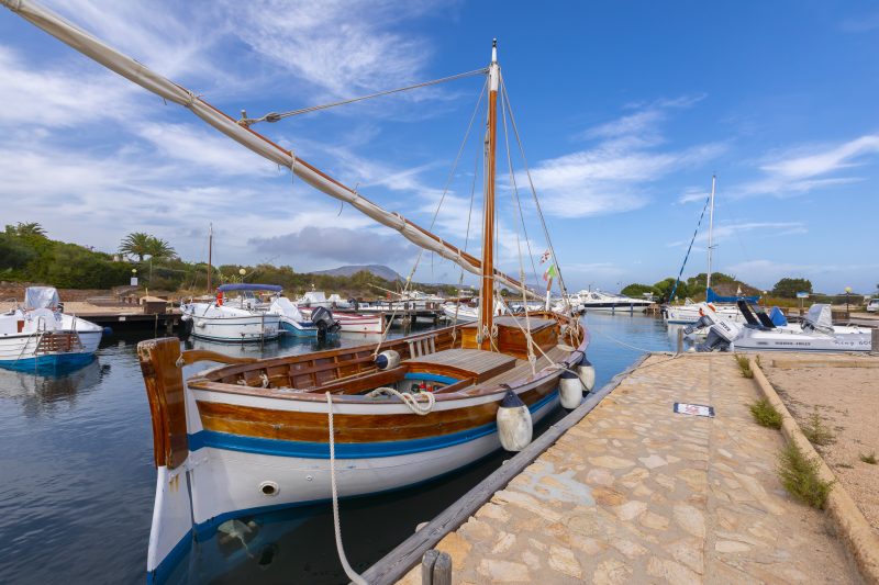 Corallina 179
