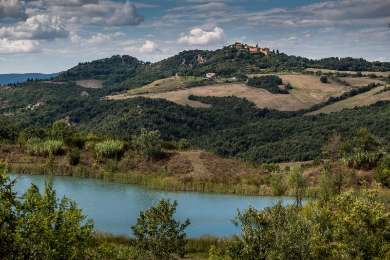 Villa Paradiso 12