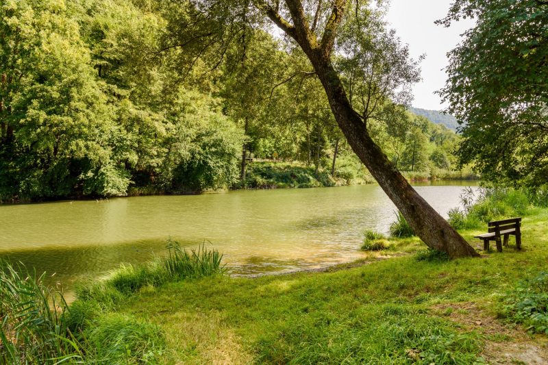 Villa Giulietta: Private Pool & Garden near Lake Maggiore (Sleeps 9)