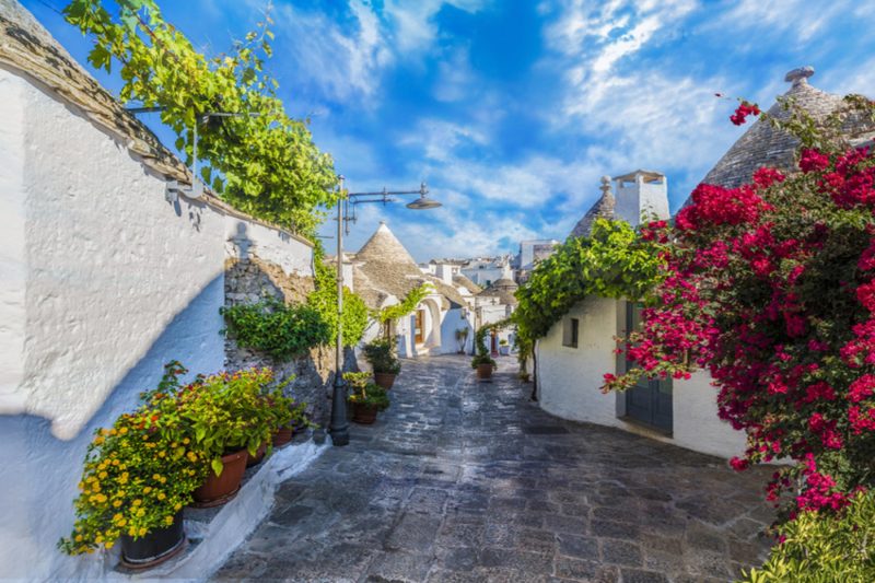 Bianca Olive House - Alberobello