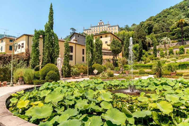 Villa Medicina