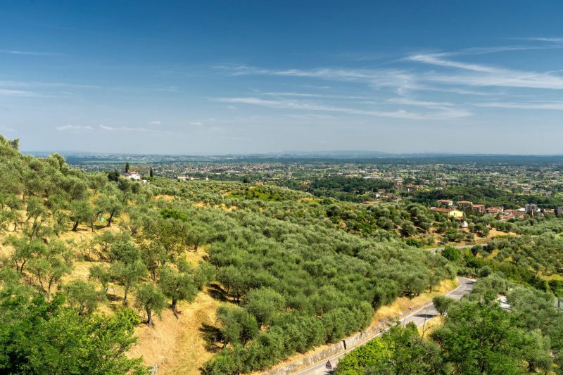 Villa Medicina