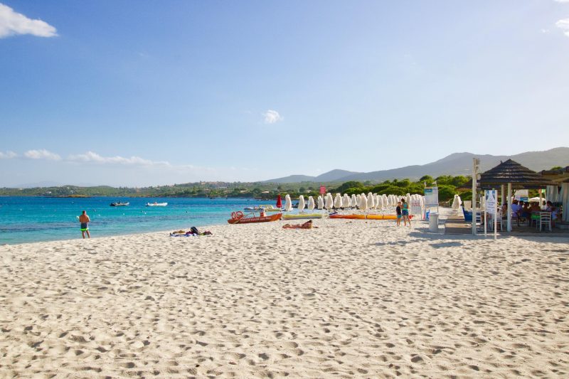 Erica Primo Piano 150m From the Beach